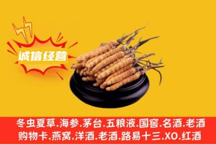 保定回收冬虫夏草
